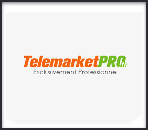 Création du logotype TelemarketPro.fr