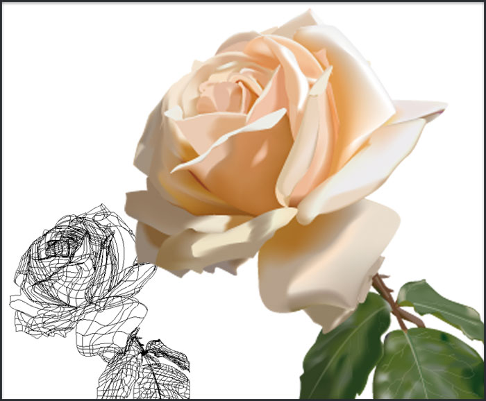 Réalisation d'une rose sous Illustrator, utilisation des filets de dégradés.